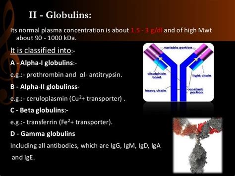 beta 1 globulin low